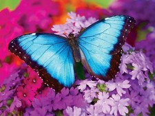 MasterPieces Iridescence 550 Piece Jigsaw Puzzle