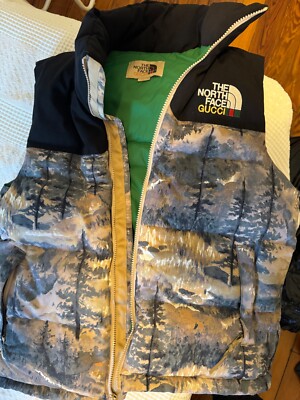 gucci X north face vest