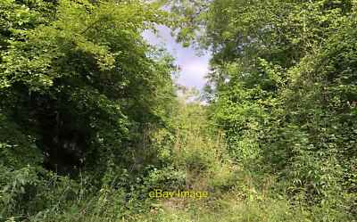 Foto 12x8 versteckter Steinbruch Singleton irgendwo hinter den Bäumen und Gestrüpp li c2019