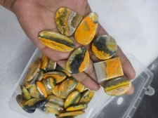 [WHOLESALE] NATURAL BUMBLE BEE JASPER GOOD QUALITY GENUINE STONE FREE FORM LOT