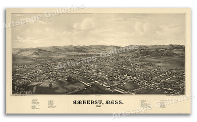 Amherst Massachusetts 1886 Historic Panoramic Town Map - 20x36