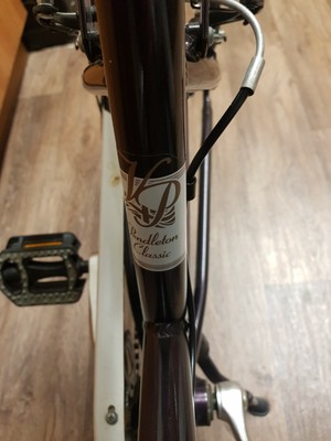 pendleton blossomby bike