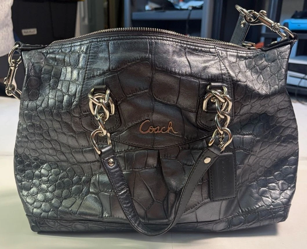 Coach Ashley Satchel/Top Handle Bag Brown Bags & Handbags for