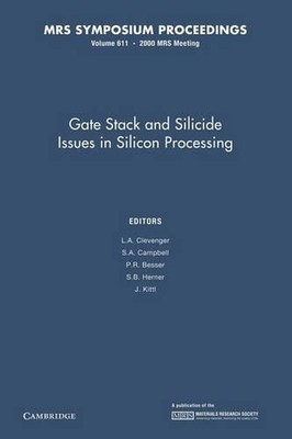 Gate-Stack- und Silizidprobleme in der Siliziumverarbeitung: Band 611 von L.A. Cleveng