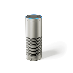 ebay amazon echo plus