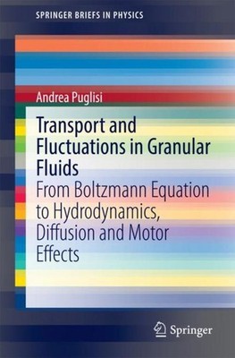 Transport and Fluctuations in Granular Fluids Andrea Puglisi