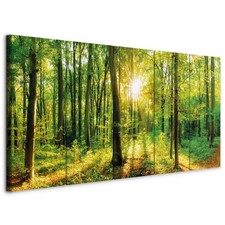 Wald Vlies Leinwandbild 5 tlg Wandbilder XXL Waldlandschaft Natur Panorama Baum