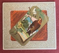 N37 Large ALLEN & GINTER BIRDS OF AMERICA cigarette card - CROSSBILL