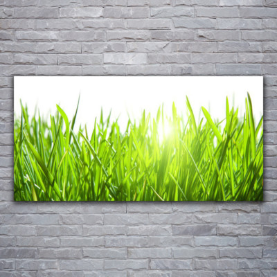 Wandbilder Glasbilder Druck auf Glas 120x60 Gras Natur