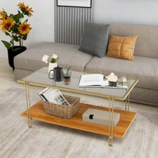 NNECW 2 Tier Rectangular Coffee Table with Gold Steel Frame and Storage Shelf fo