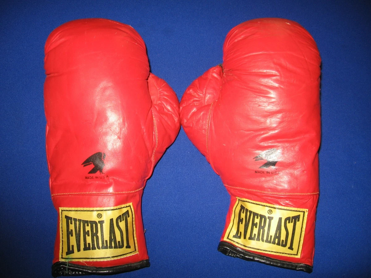 Vermelden Naar stel voor Everlast Laceless 12 oz Traditional Training Boxing Gloves Size Small | eBay