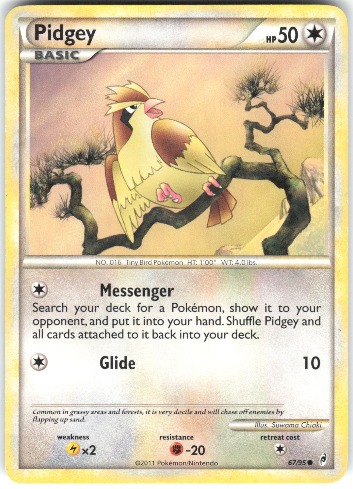 Pidgey 67/95 Call of Legends Pokemon Card TCG HP Colorless