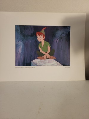 Disney Peter Pan Lithograph ''Little Boy Who Wont Grow Up'' New condition