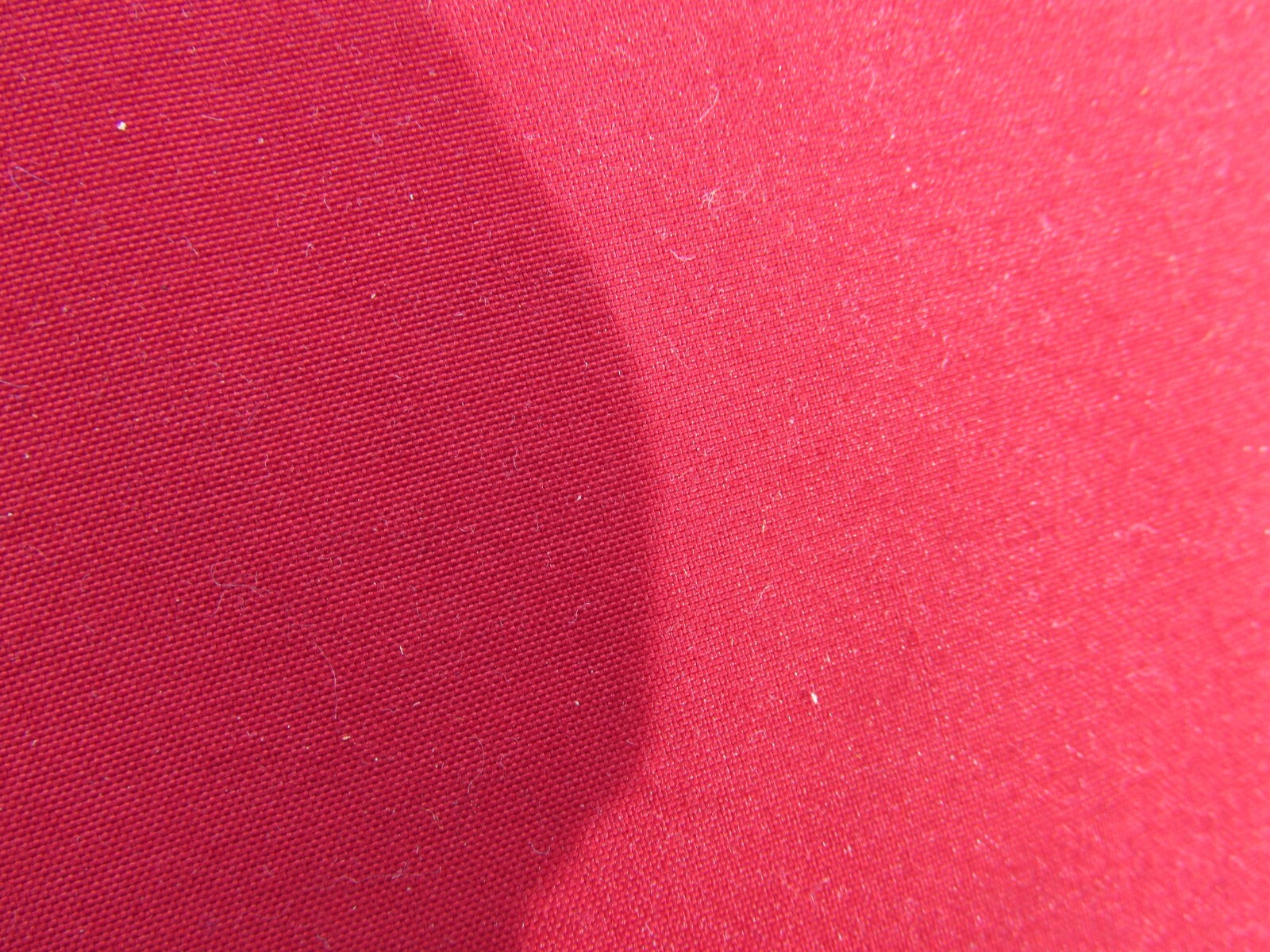 Picture 12 of 12