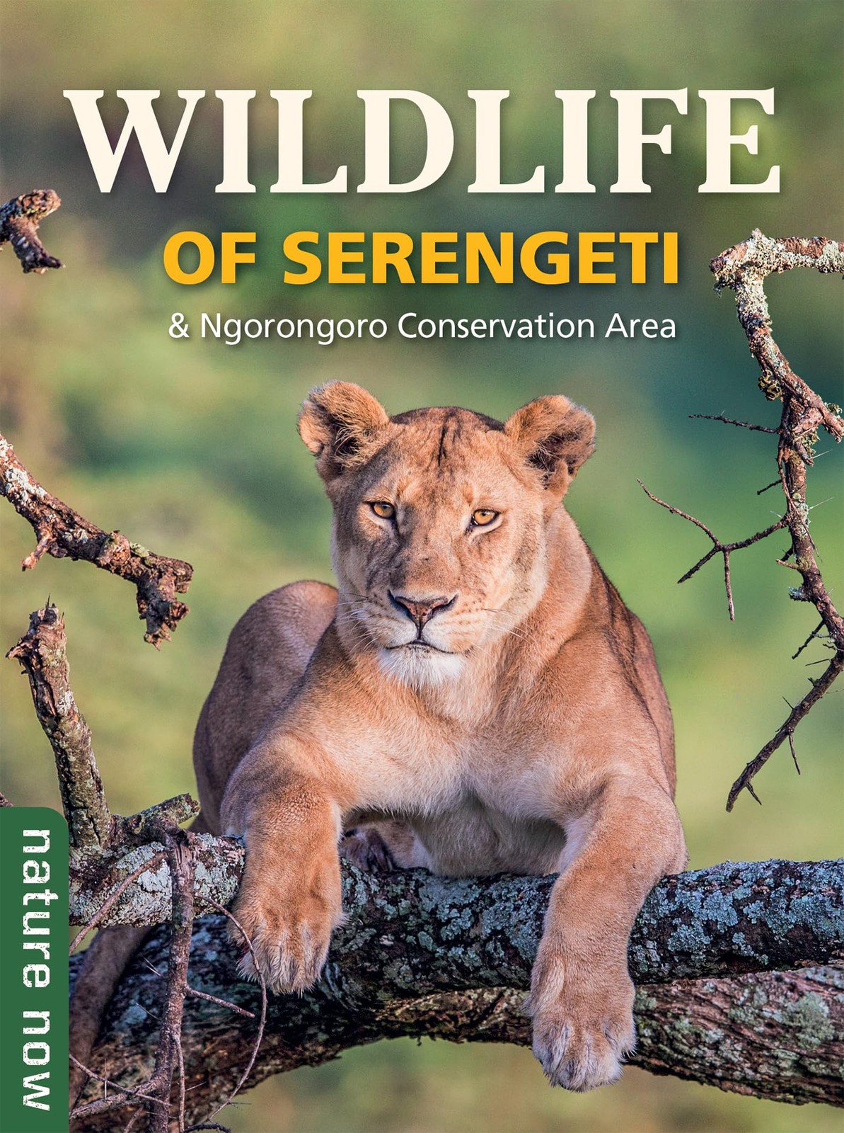 Wildlife of Serengeti and Ngorongoro Conservati, Plessis, Plessis, Watson,^*