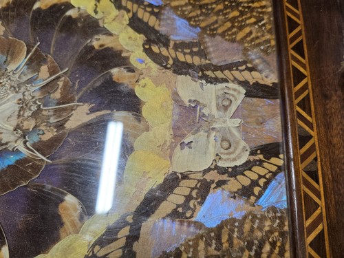 Antique Brazilian Wood and Glass Tea Tray with Inlaid Real Butterfly Wings! - Picture 7 of 17