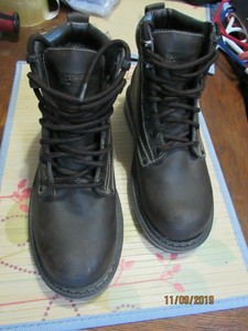 rugged outback timberland