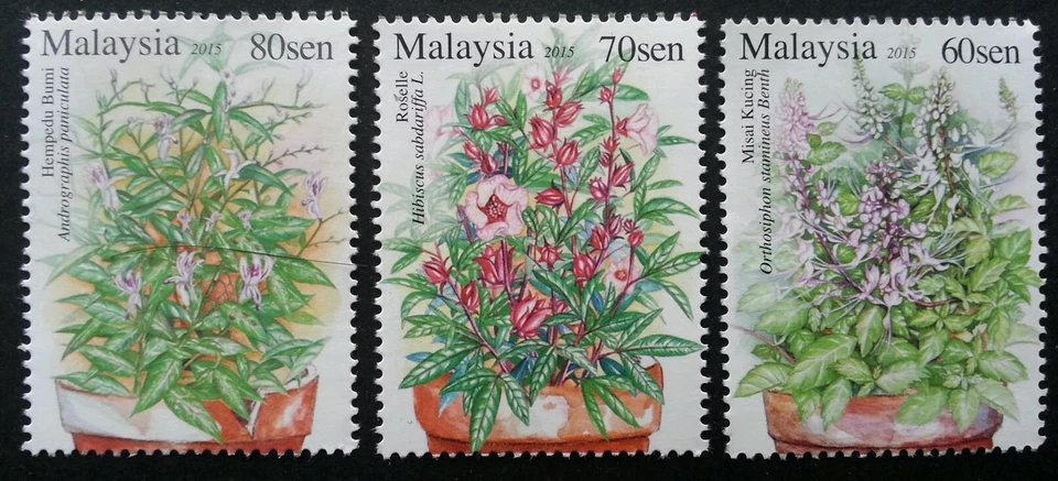 *ENVÍO GRATUITO Malasia Plantas Medicinales III 2015 Flor Flora Hoja (Hoja) MNH Foto 2 de 4