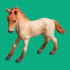 Bild 698 von 722