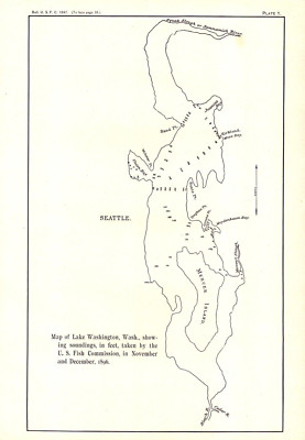 SEATTLE, LAKE WASHINGTON, WASHINGTON, SOUNDINGS Antique fisheries map 1898