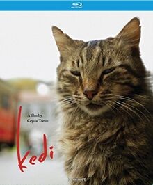 Kedi von Oscilloscope | DVD | Zustand sehr gut