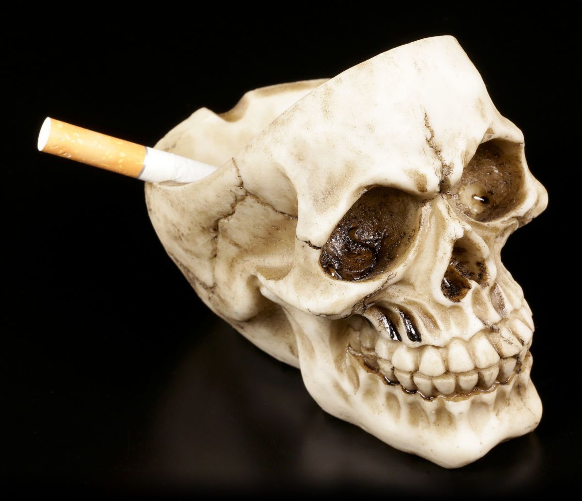 Ashtray - Skull without Skullcap - Gothic Decorative Bowl