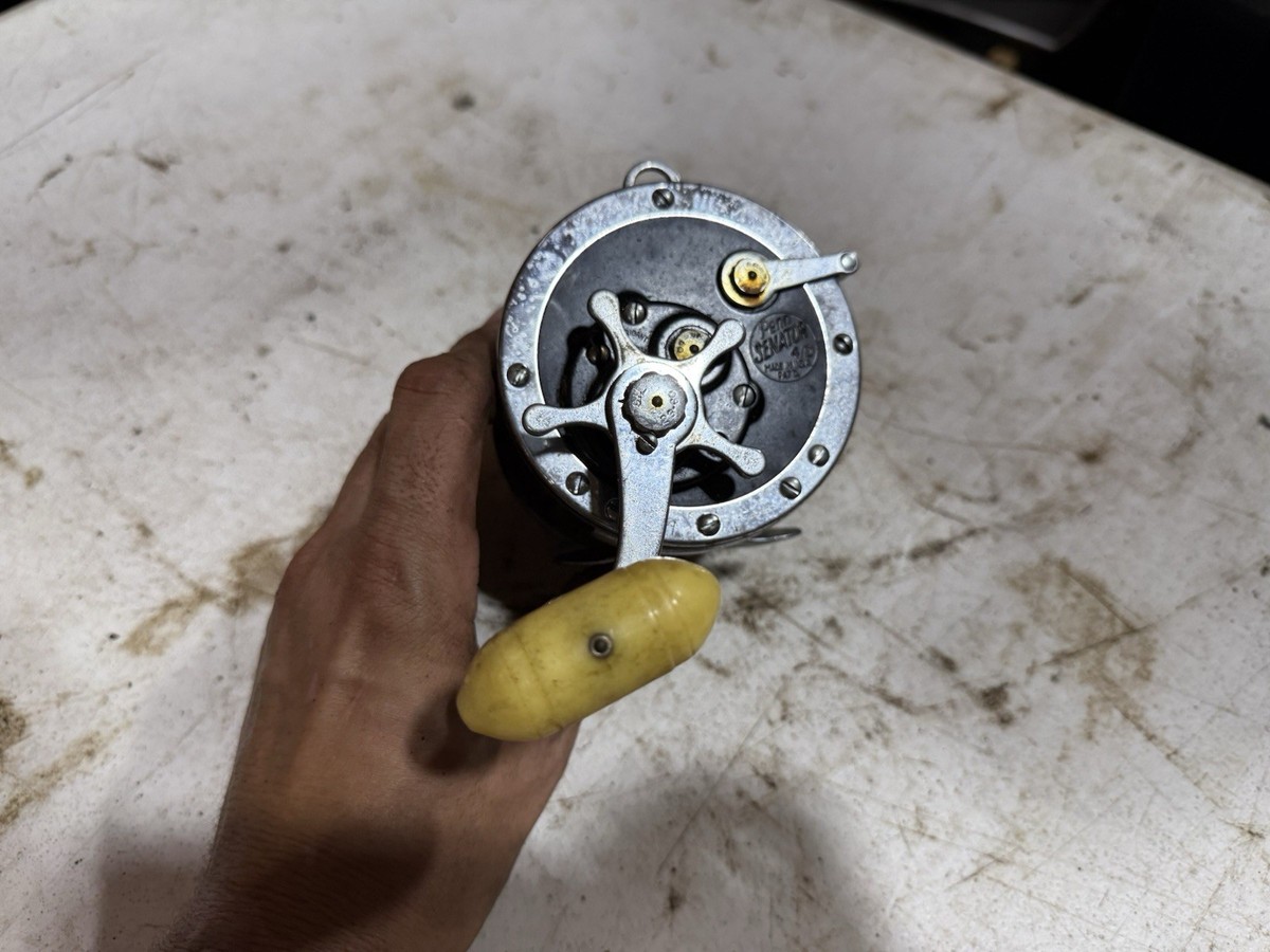 PENN Senator 4/0 Special Fishing Reel | eBay