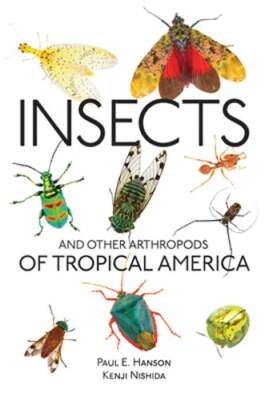 Insects and Other Arthropods of Tropical America by Paul E Hanson: Used