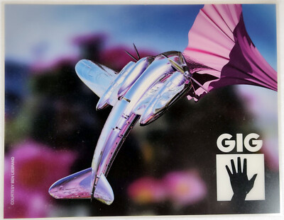 Electro Gig 3D printed and laminated image Birdplane by Ben Liebrand - VERY RARE