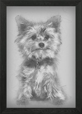 Yorkshire terrier puppy si Framed Wall Art Poster Canvas Print Picture