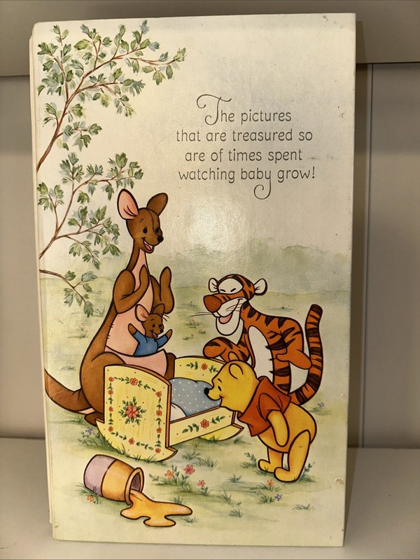 Winnie The Pooh Hallmark Baby Photo Album vintage 7" X 12" Vintage 1981 Book