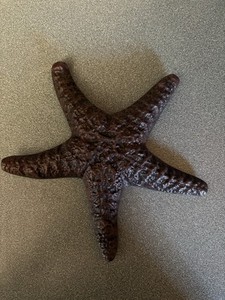 Cast Iron Sea Star Shell Starfish in Rustic Bronze Finish