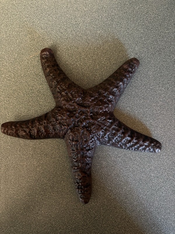Cast Iron Sea Star Shell Starfish in Rustic Bronze Finish