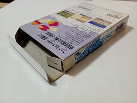 Fuzzical Fighter W/Box Manual Rare Retro Famicom FC Good Used Game NTSC-J Japan