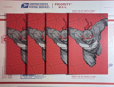 Lot (4) TMNT Ninja Turtles Issue #1 / 1st Print Rare- 2024 (New) IDW Publishing