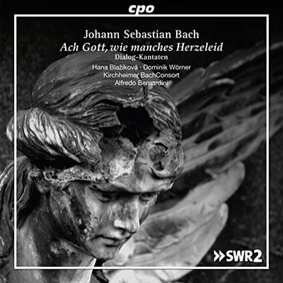 Dominik Worner - Johann Sebastian Bach  Ach Gott Wie Manches Herzeleid/. - G3z