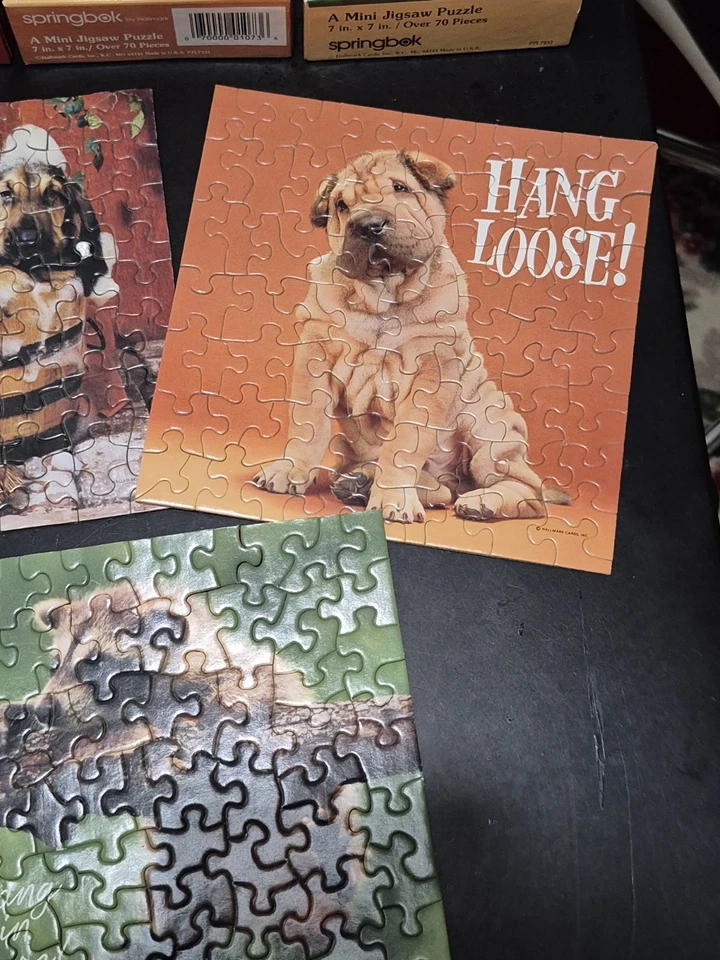 Lot of 3 Vintage Mini Puzzles Springbok Animals Dog Raccoon Hang Loose Funny - Image 3 of 4