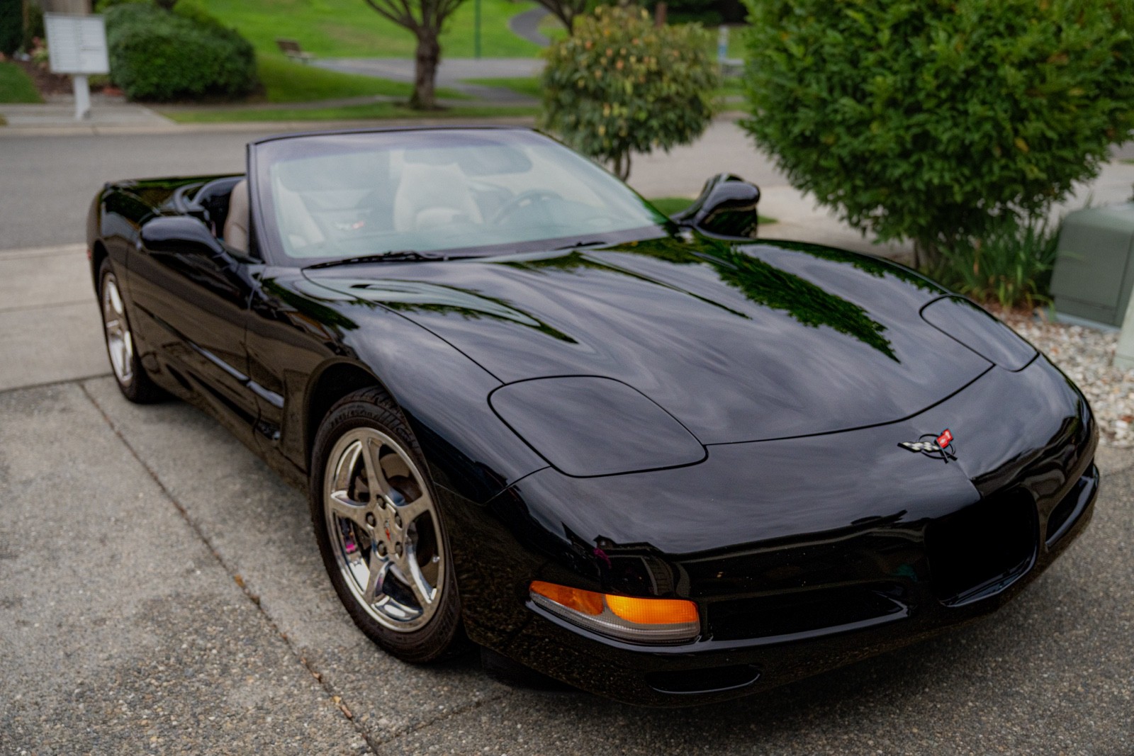 2002 Black Chevrolet Corvette   | C5 Corvette Photo 2