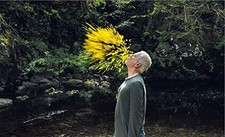 Leaning Into The Wind (2017) ( Leaning Into the Wind: Andy Goldsworthy ) [