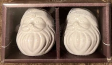 Winter Wonder Lane Arctic Enchantment Santa Salt & Pepper Shakers White Embossed