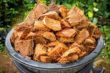 Coconut Husk Dry Chips 100 Natural Orchids Anthurium Growing Coco Coir 50g