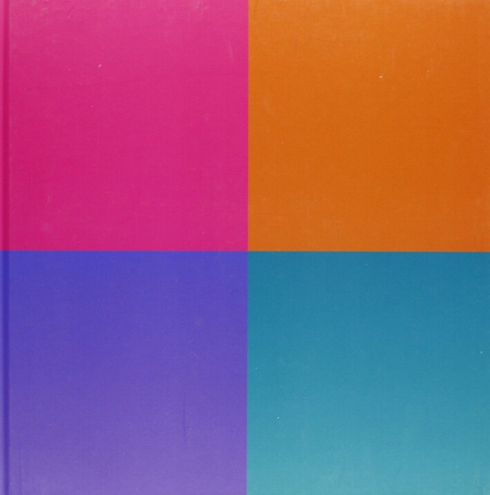 Daniel Buren. Cabane éclatée aux 4 Salles - [Gli Ori]