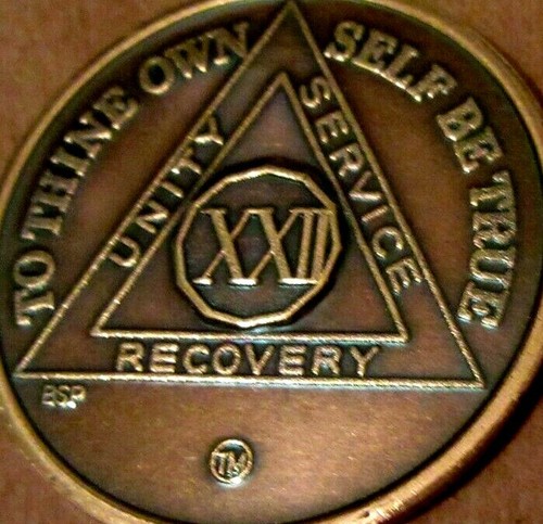 Alcoholics Anonymous AA 22 Year Bronze Medallion Chip Token Sobriety Sober - 第 1/9 張圖片