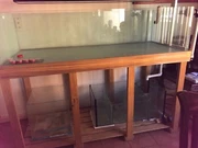 fish tank office micro foot fish tank with stand fish gumtree australia rockdale area kogarah fish tank office micro foot fish tank with stand fish gumtree australia rockdale area kogarah