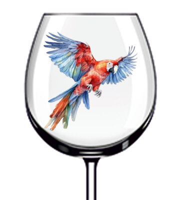 12x schöne Papageien Becher Weinglas Flasche Vinyl Aufkleber Abziehbilder k860