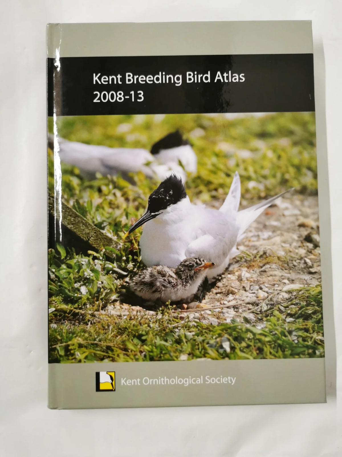 Kent Breeding Bird Atlas 2008-2013