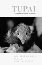 Tupai: A Field Study of Bornean Treeshrews Volume 2 by Louise H Emmons: Used