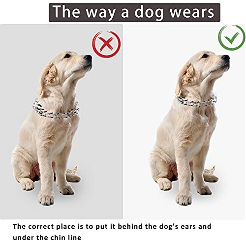 Funda Correa Perros Reactivos Funda Para Correa De Perros Reactivos - Mensaje Reflectante E Impermeable Para Paseos Seguros Advertencia Perro Nervioso