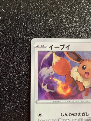Eevee 044/S-P Gym Promo Pokemon Card Japanese Rare Japan Near Mint