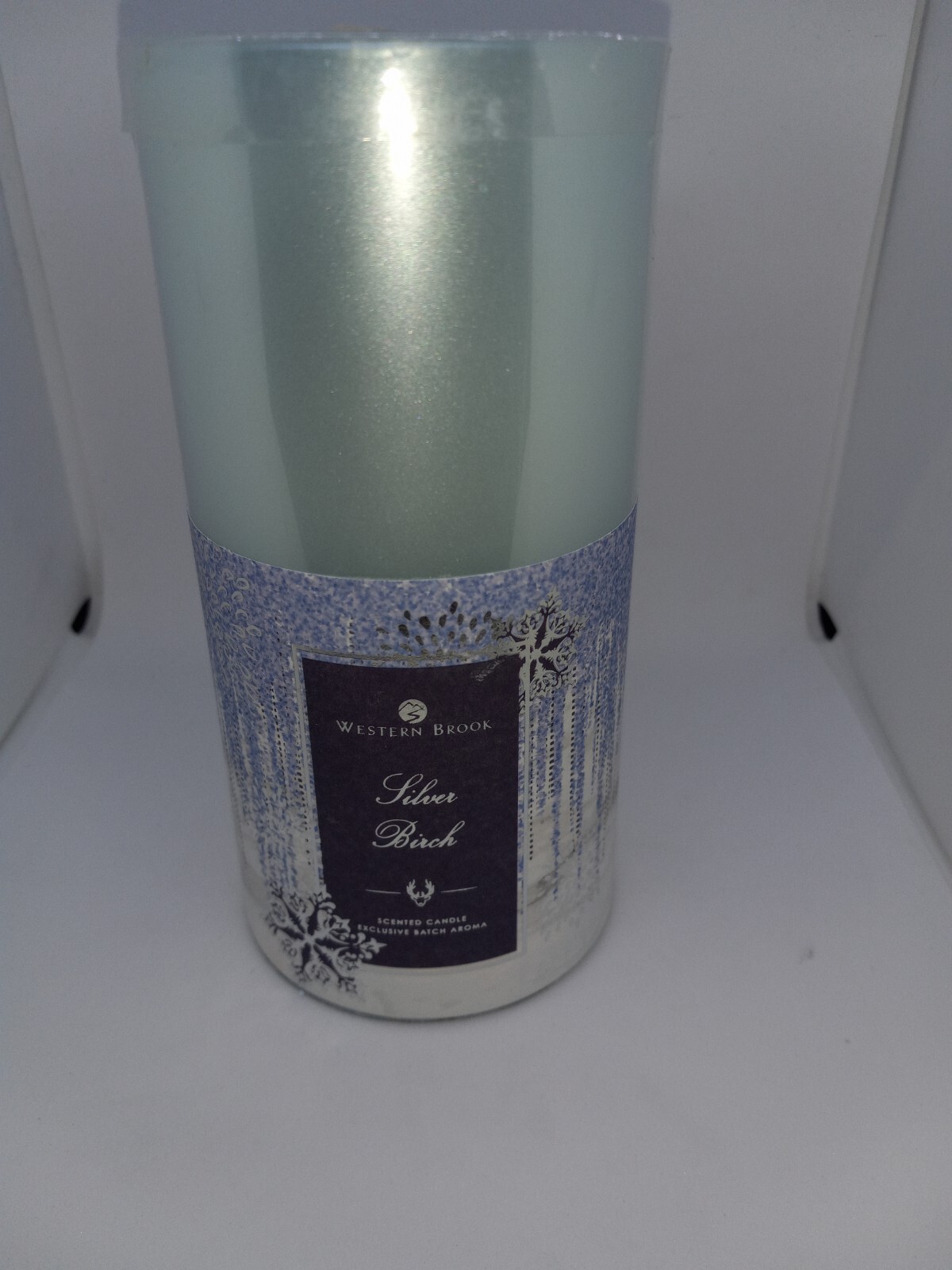 Western Brook Silver Birch Scented Candle 21 oz eBay